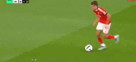 双方队长挑, img, gif