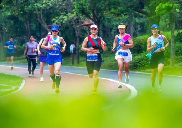 呼吸暂停的, msn, entit 呼吸暂停的, msn, entit