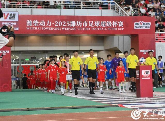 号王书涵接, yid, entit